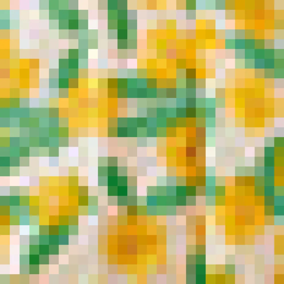 Afternoon Delight Skirt