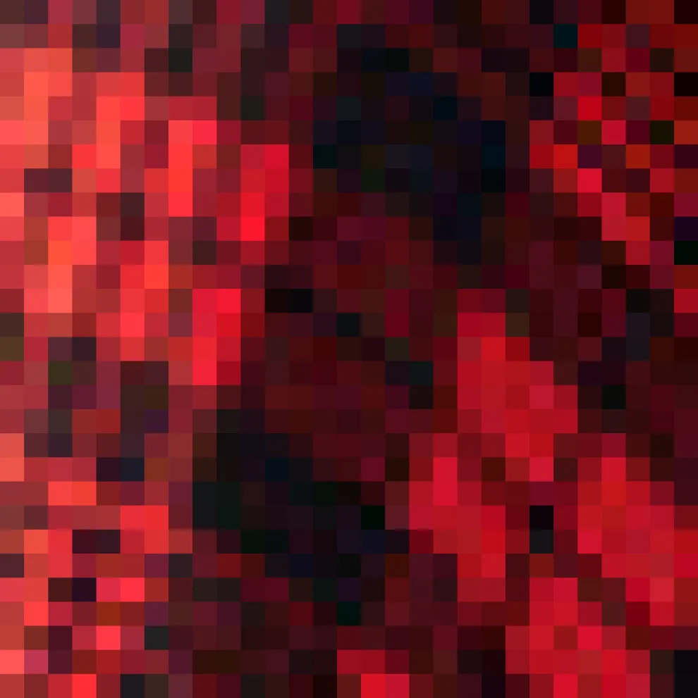 All About the Doodlebug Fit & Flare Dress