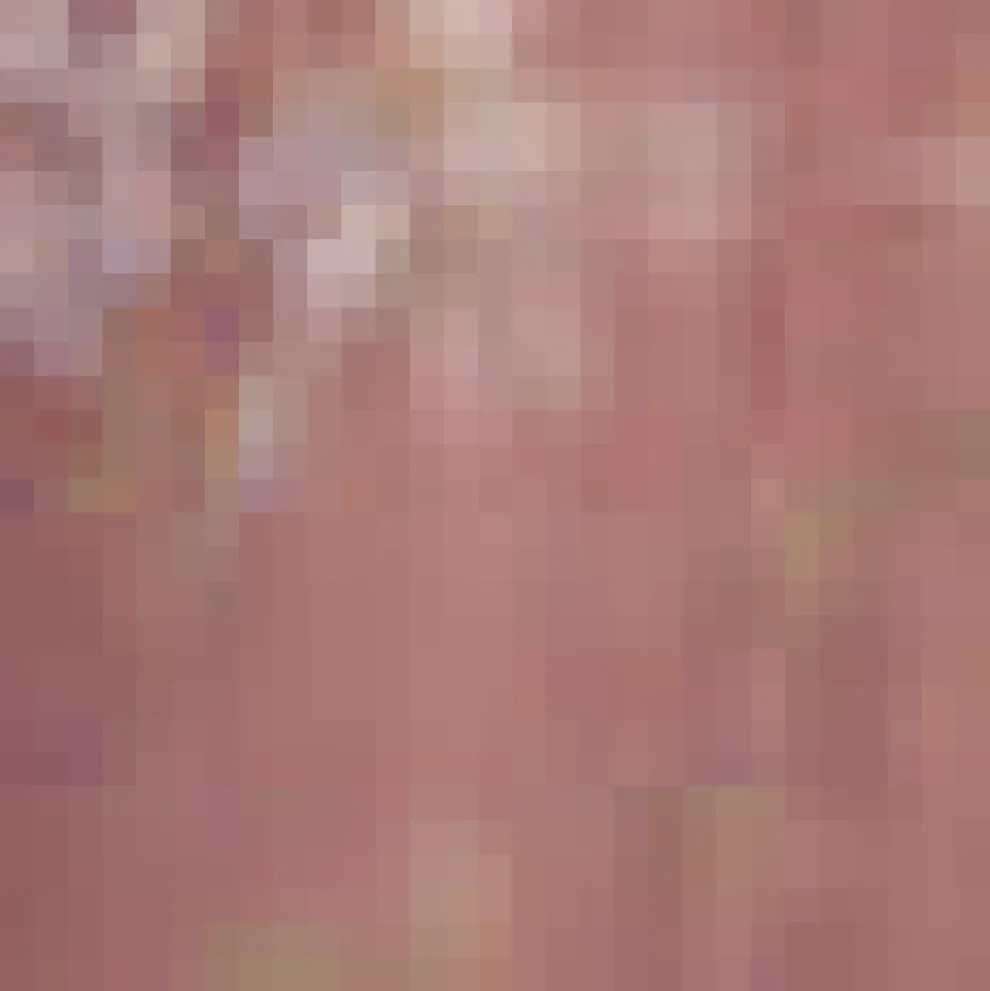 Alpine Dream Dirndl Skirt