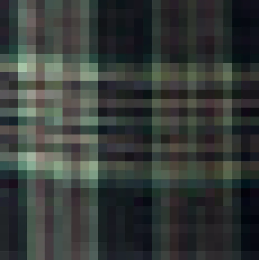 Always a Classic Wide Leg Pant