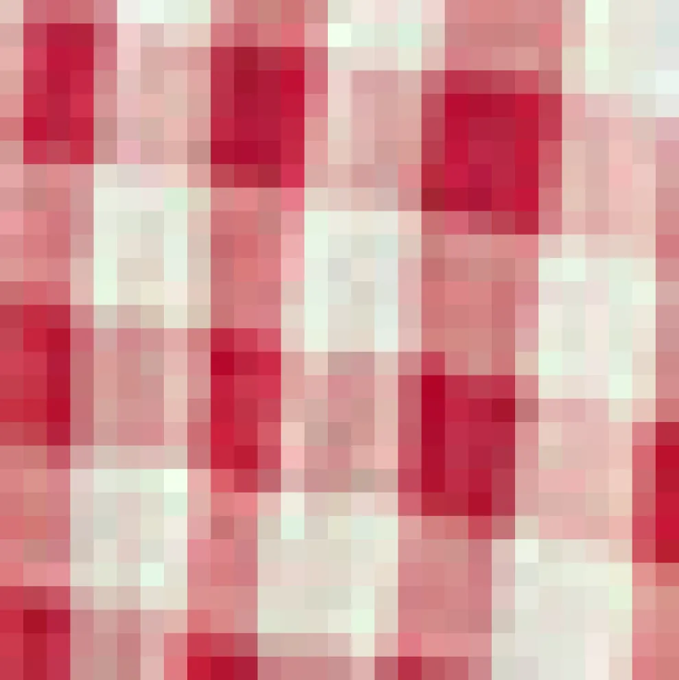 Belle of the Ballet Collar Dress