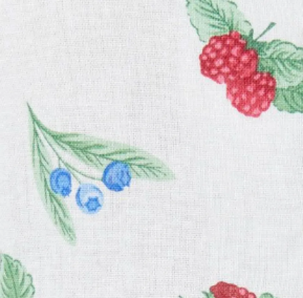 Berry Button Down Dress