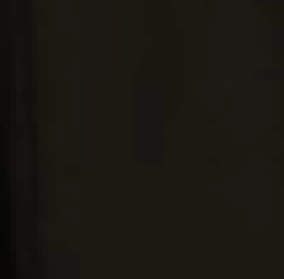 Black & White Piping Swing Dress