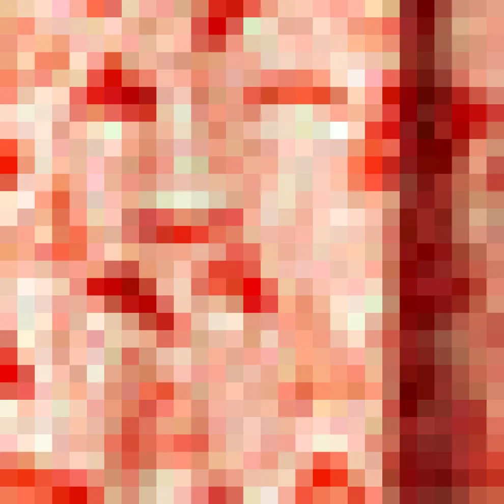 Bookstore's Best Skirt