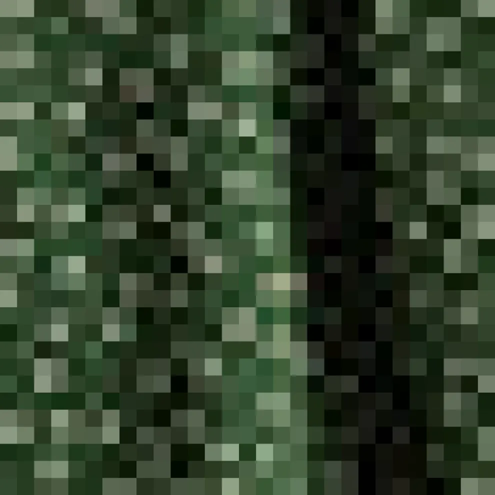 Bookstore's Best Skirt