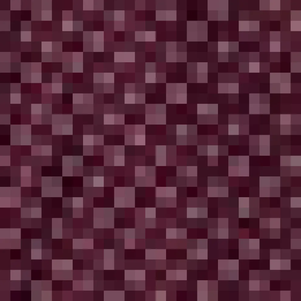 Burn After Reading Collared Shift Dress