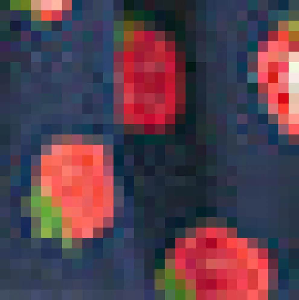 Cutaway Shirt Fit & Flare Dress