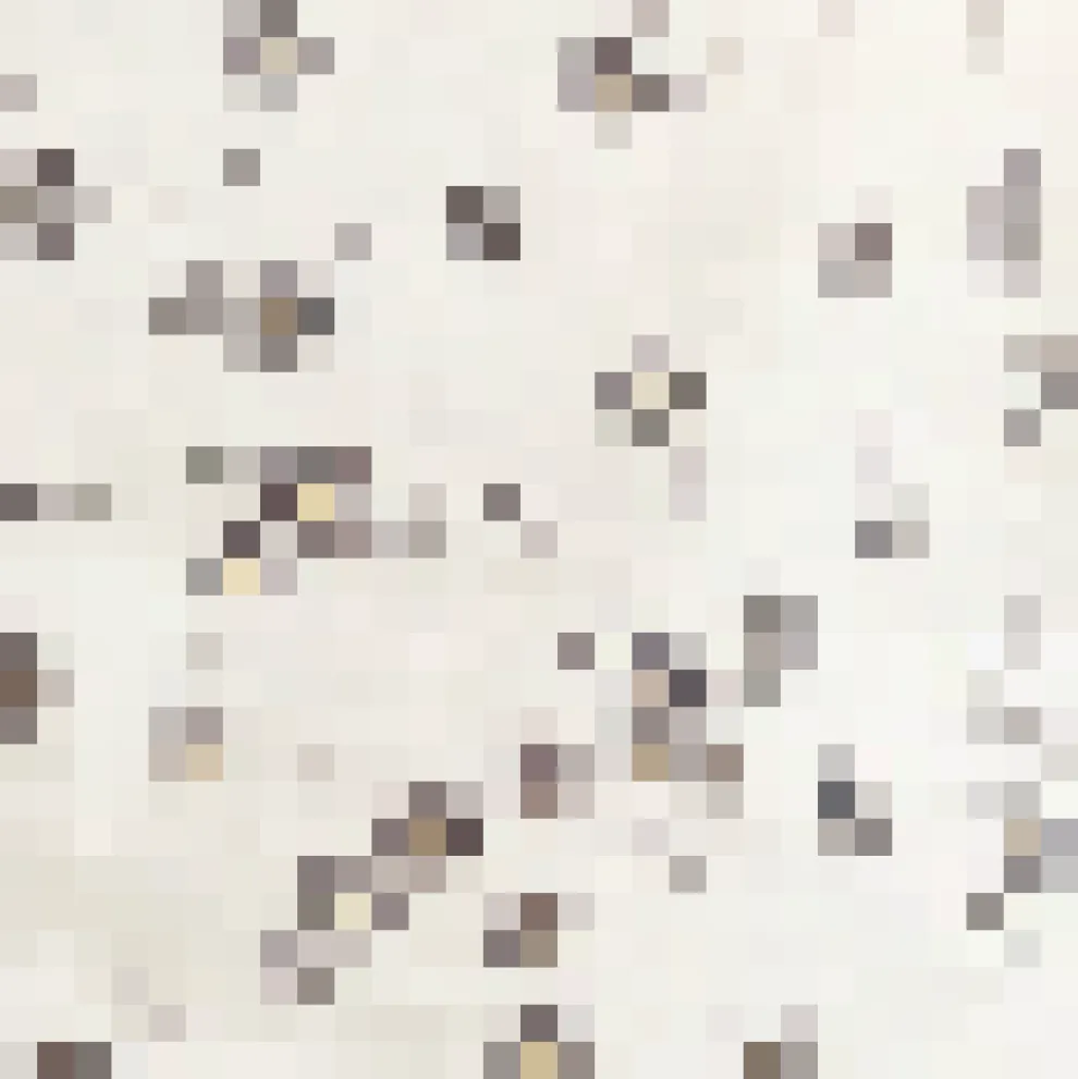 Daydreamer's Delight Button-Up