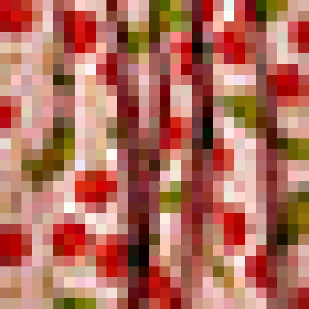 Daylight Saunter Skirt