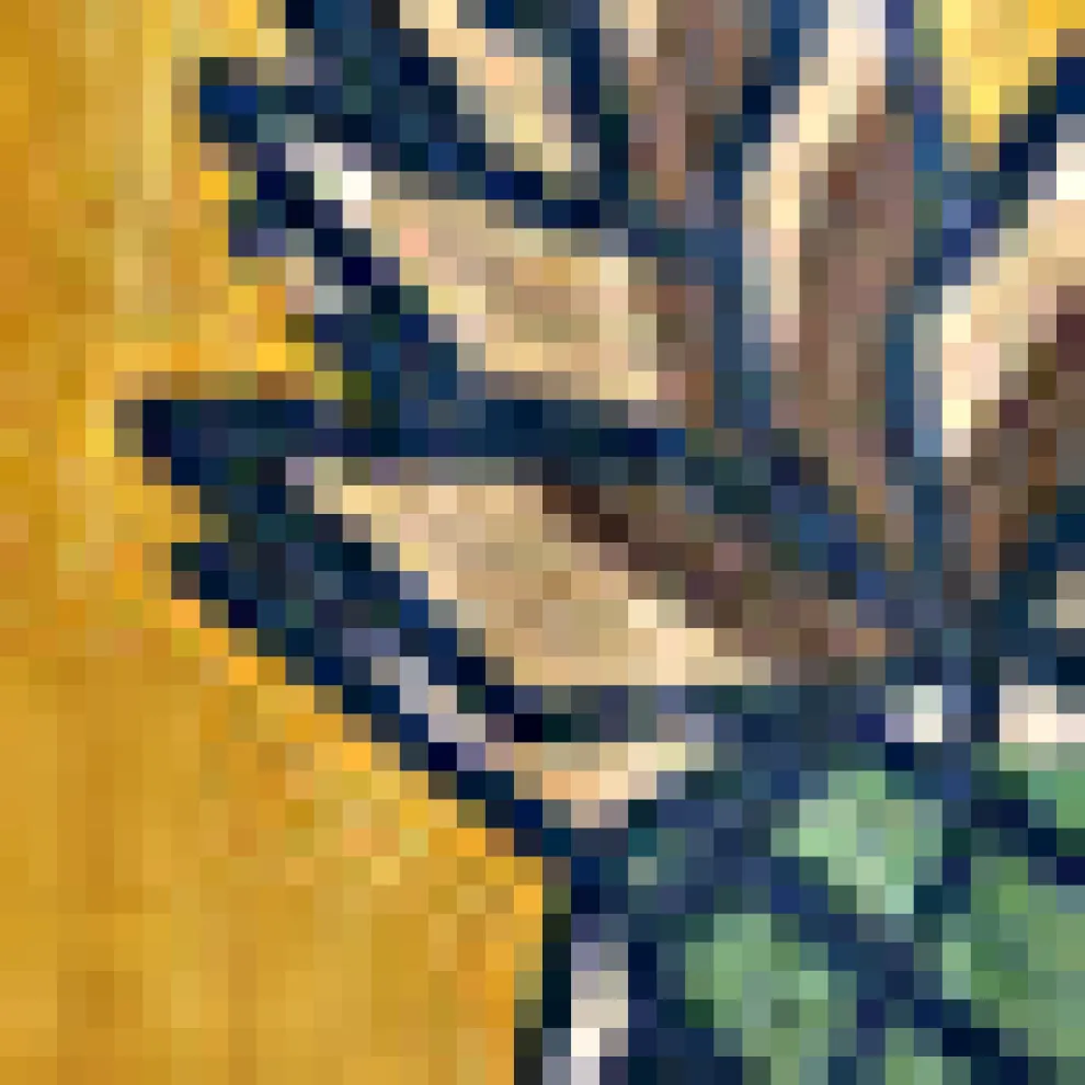 Daylight Saunter Skirt