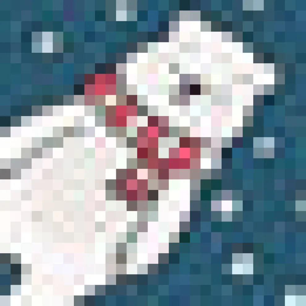 Delightful Demeanor Short Sleeve Blouse