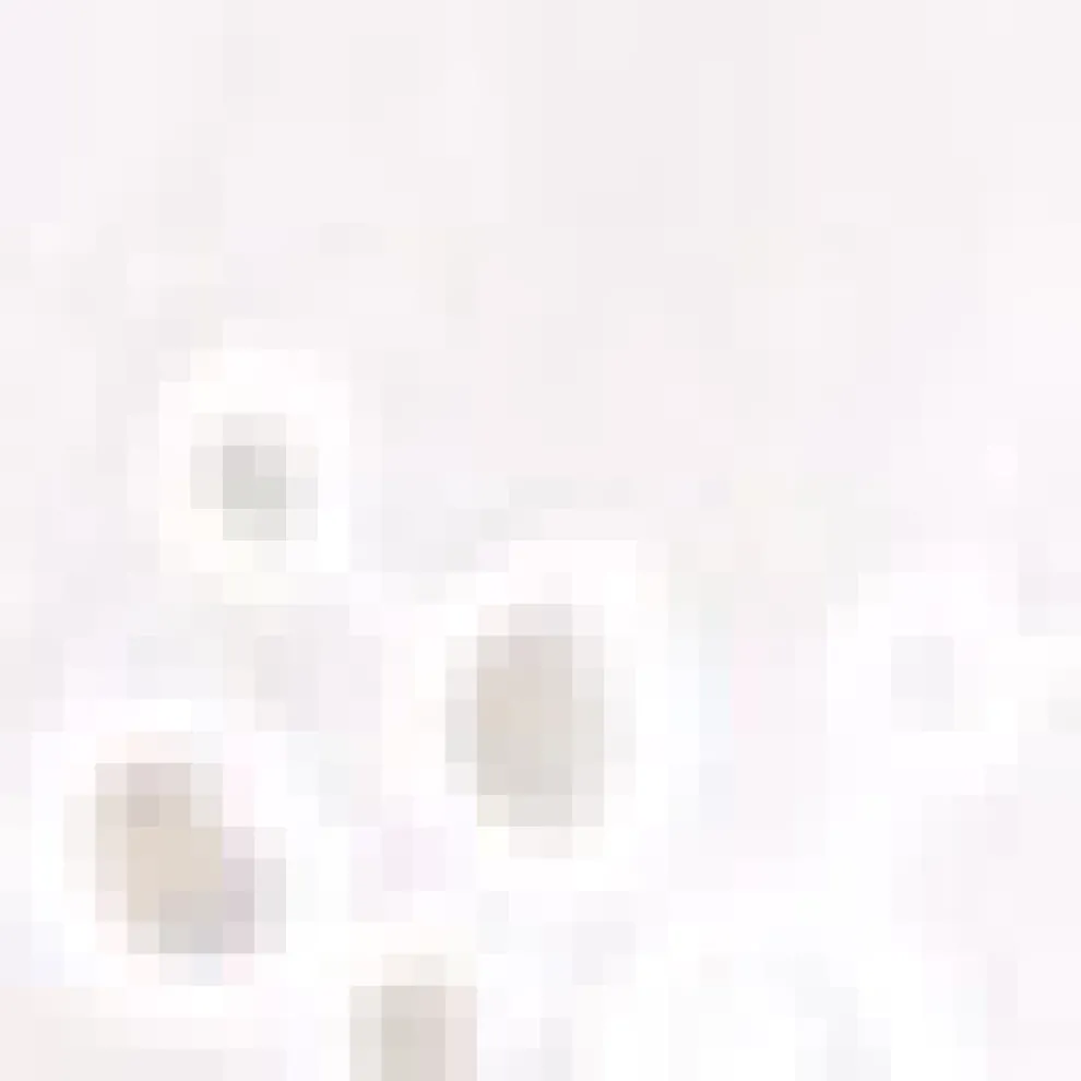 Dreamscape Debut Mini Dress