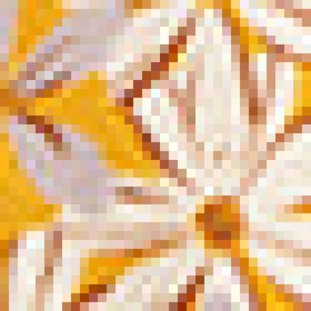 Effortless Feature Midi Skirt