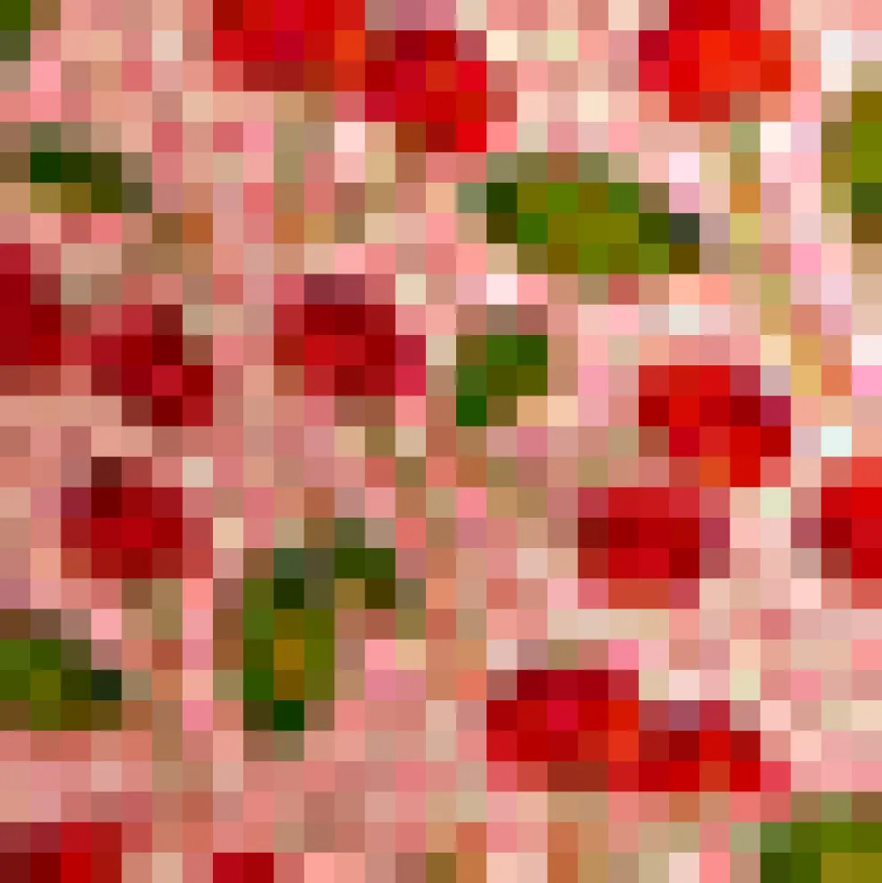 Enchanted Dawn Midi Dress