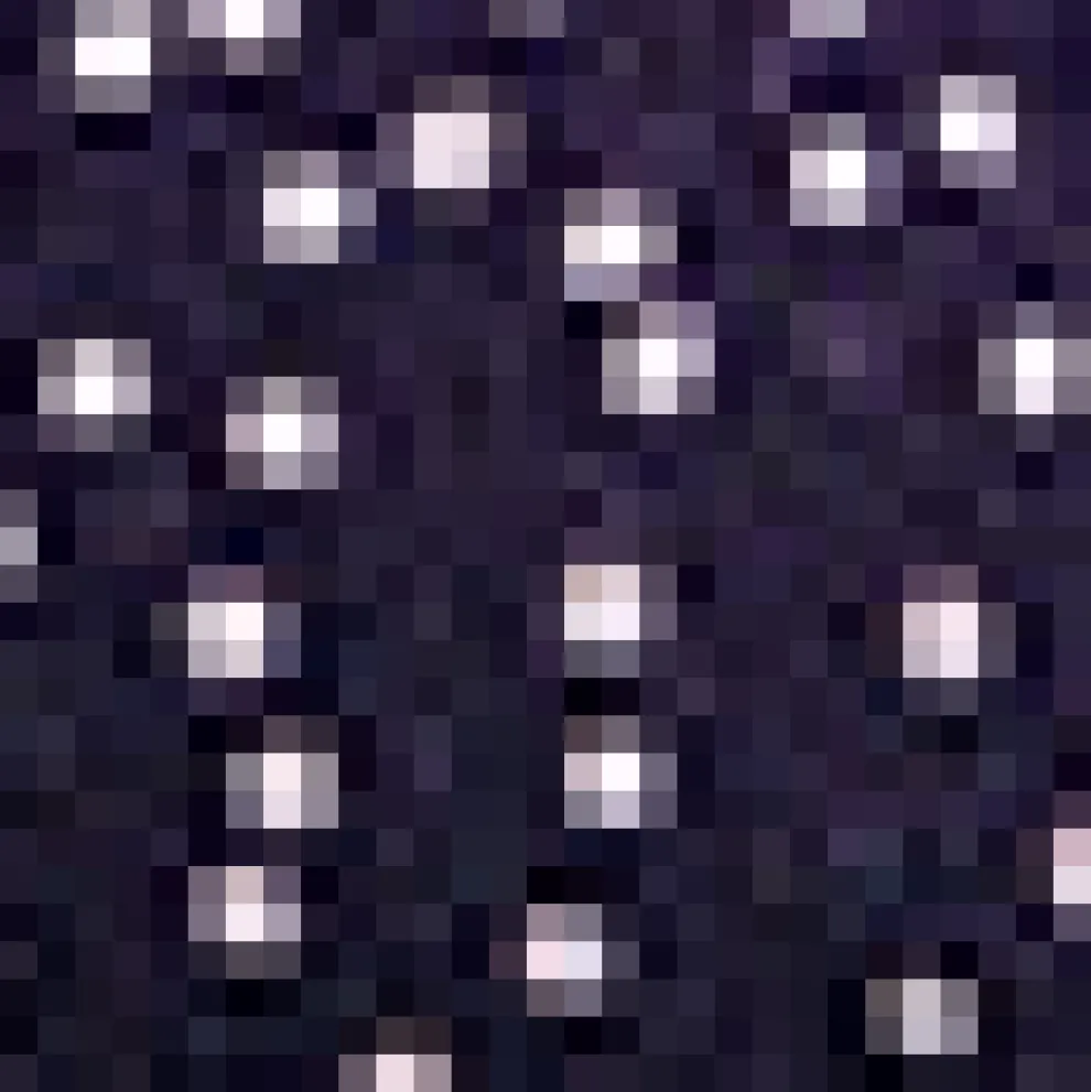 Enchanted Evening Collared Blouse