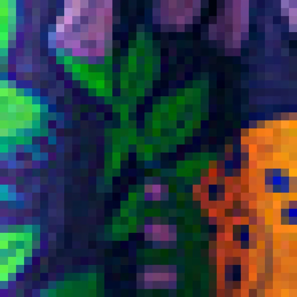 Enchanted Forest Maxi Dress