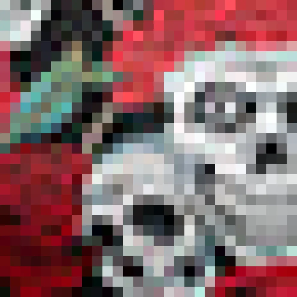 Ensemble Observation Knit Dress