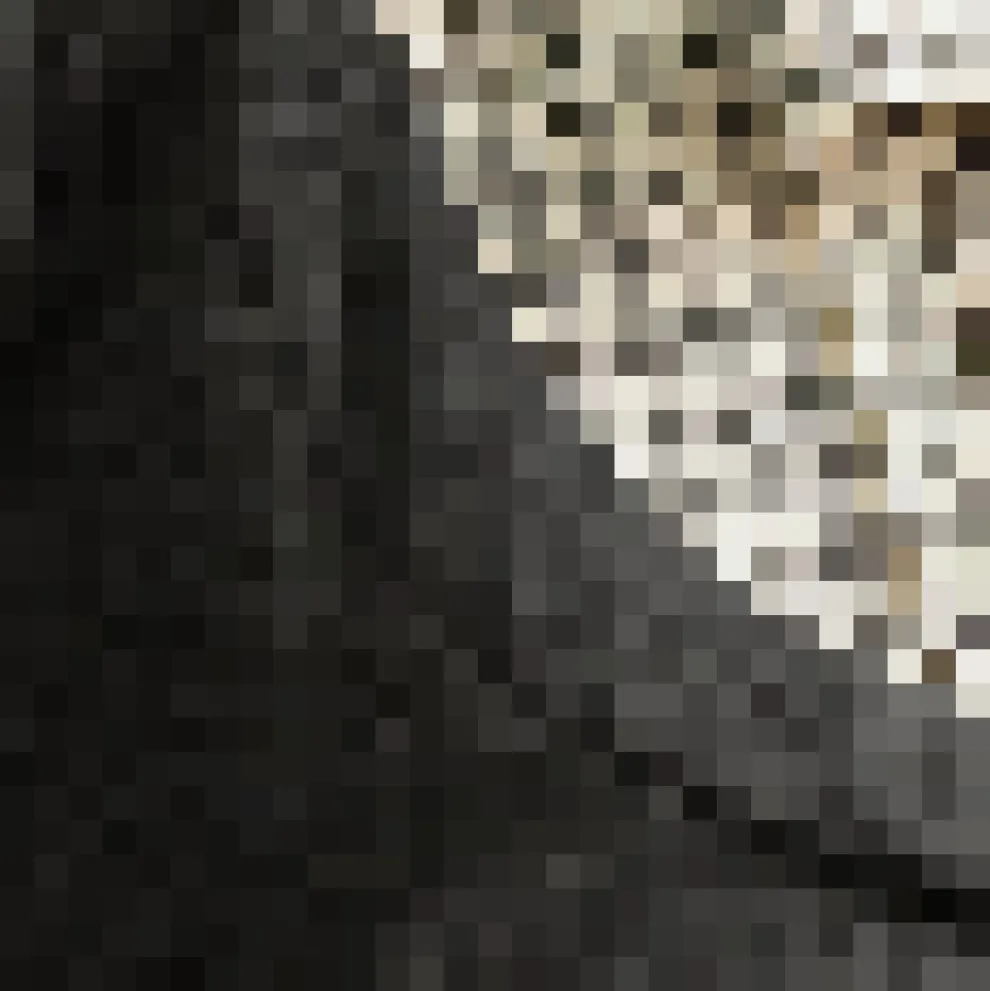 Flow & Function Tie Neck Long Sleeve Top