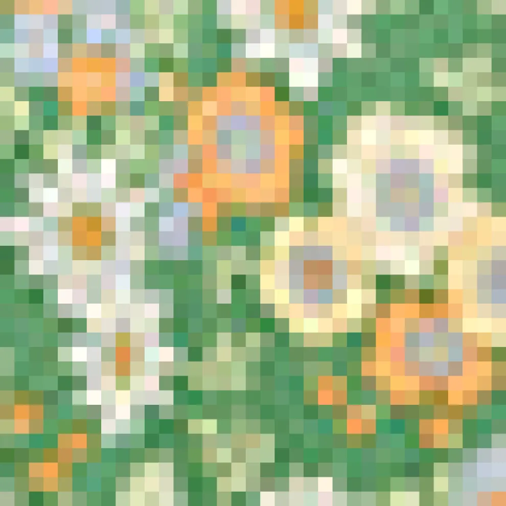 Gathering Wild Flowers Dress