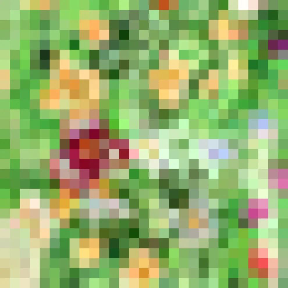 Gathering Wild Flowers Dress