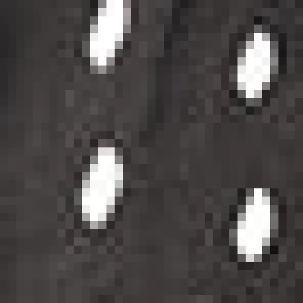 Glad You Collared Blouse