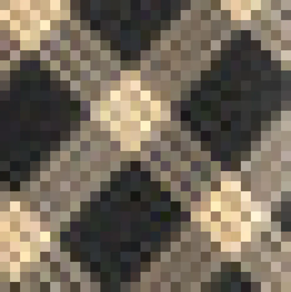 Golden Hour Gal Midi Skirt