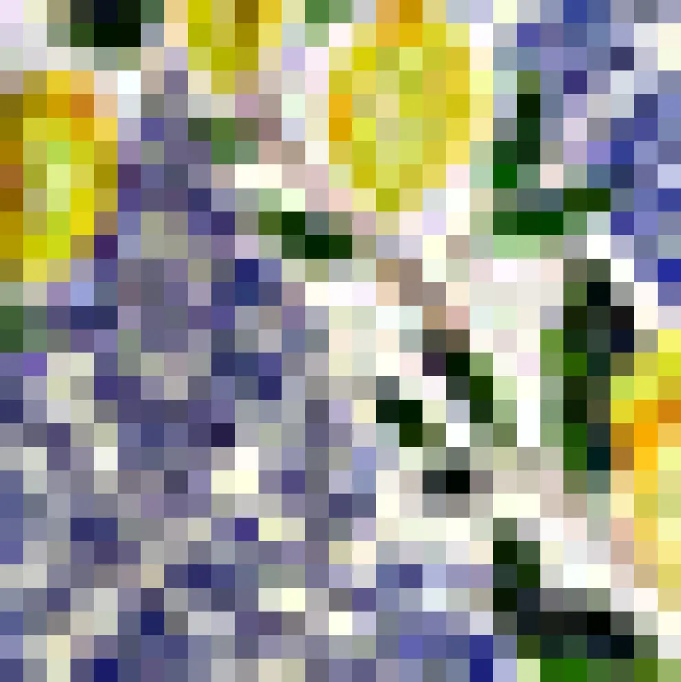 Golden Hour Gal Midi Skirt