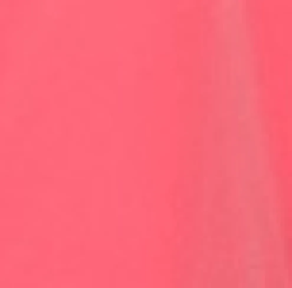 Hot Pink Black Embroidered Poodle Swing Skirt