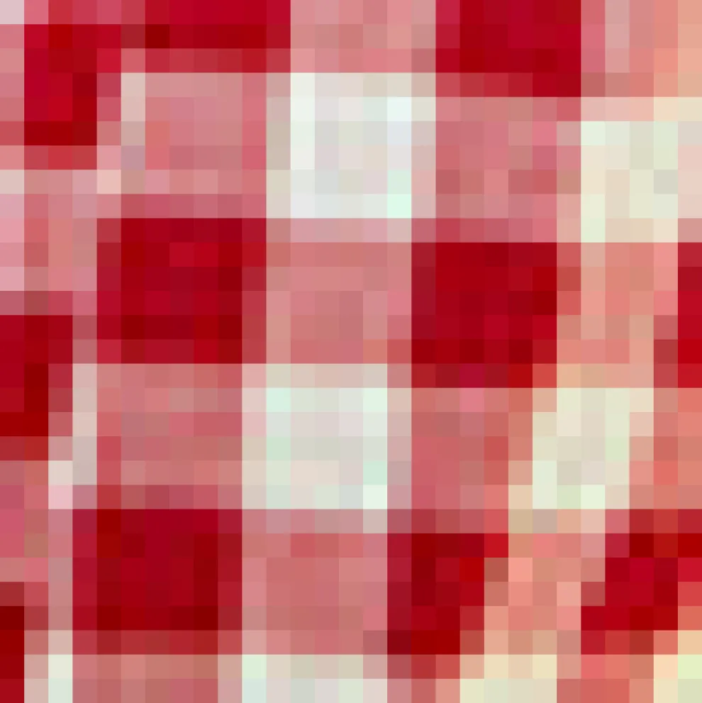 Jam Gingham Corset Dress