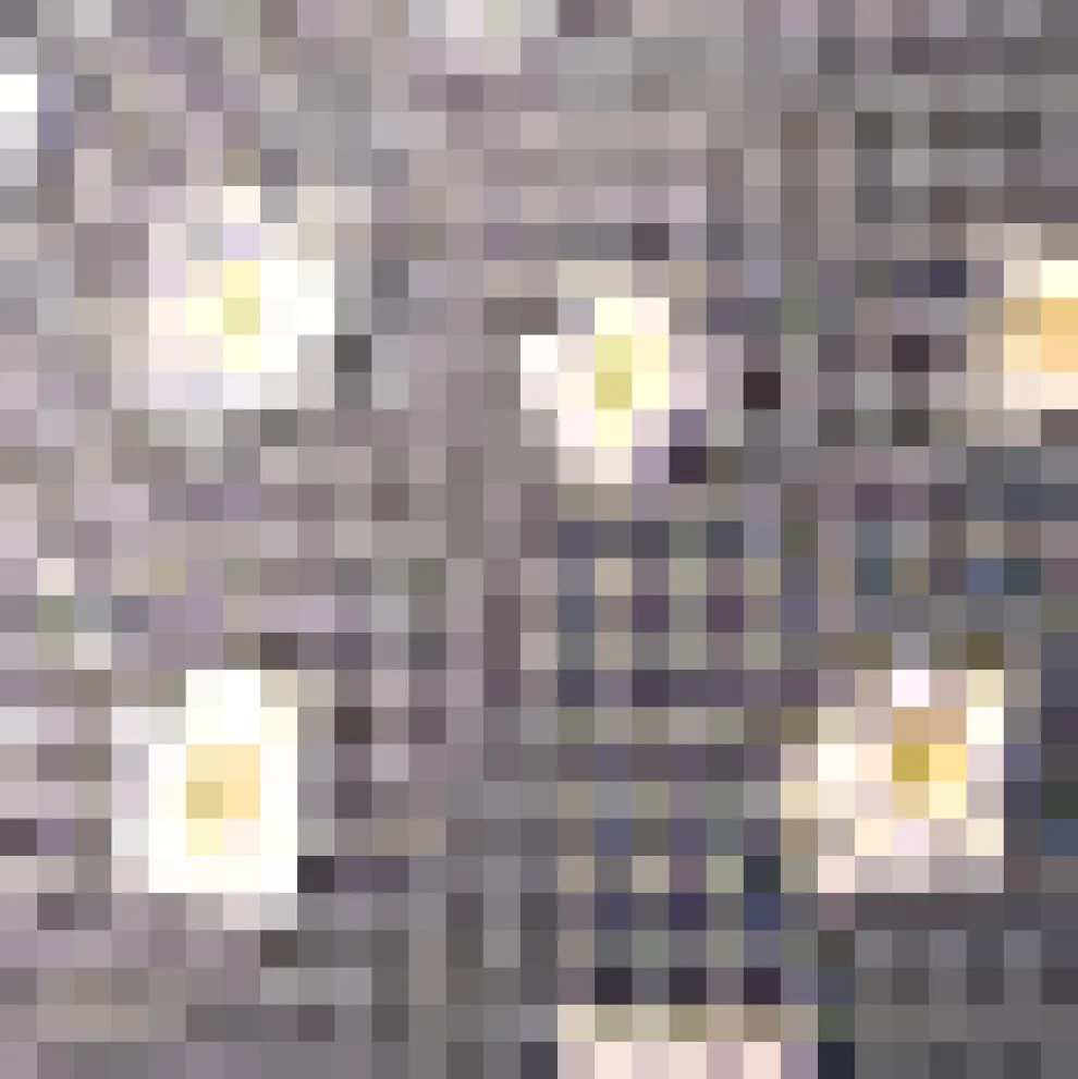 Joyful Journey Dress