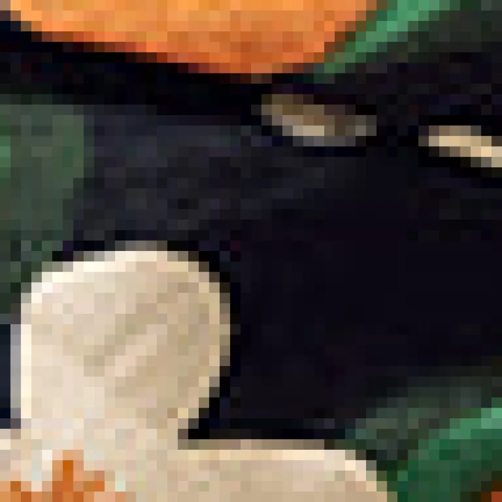 Midnight Garden Mini Dress