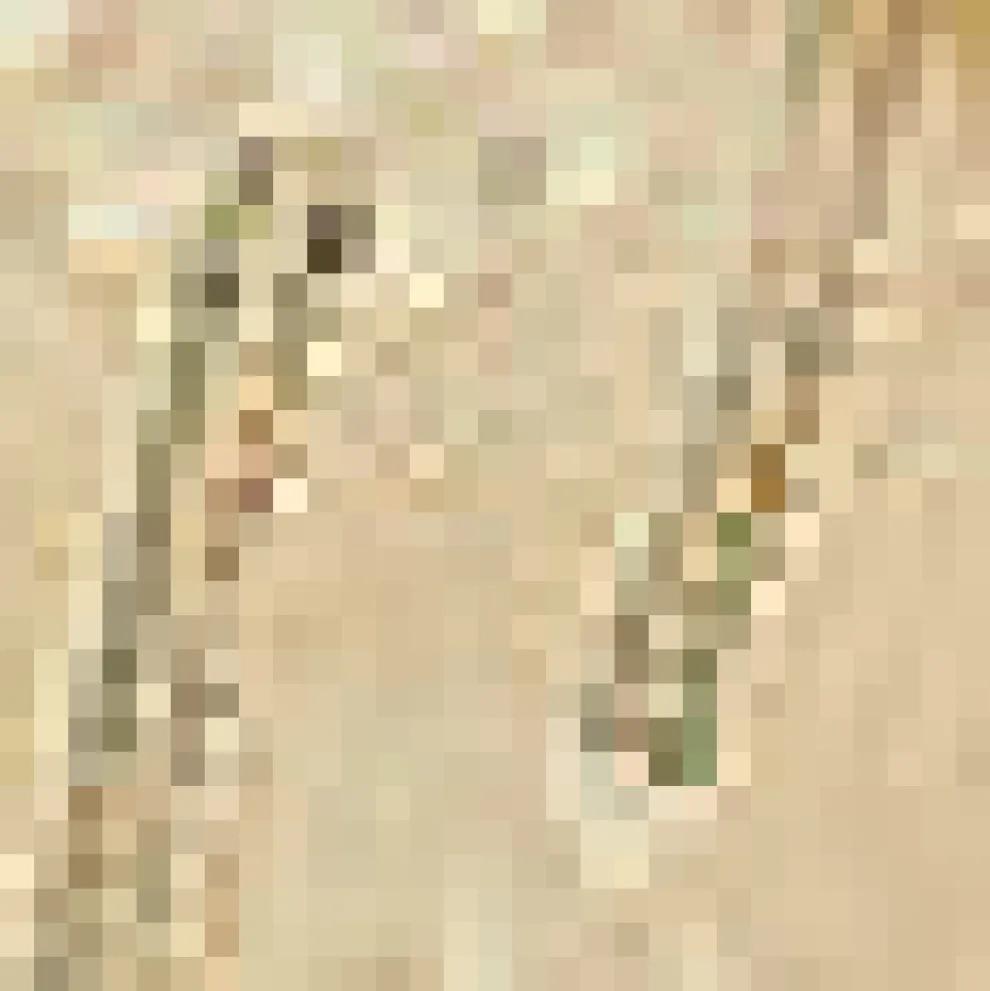 Picnic in the Park V-Neck Cardigan