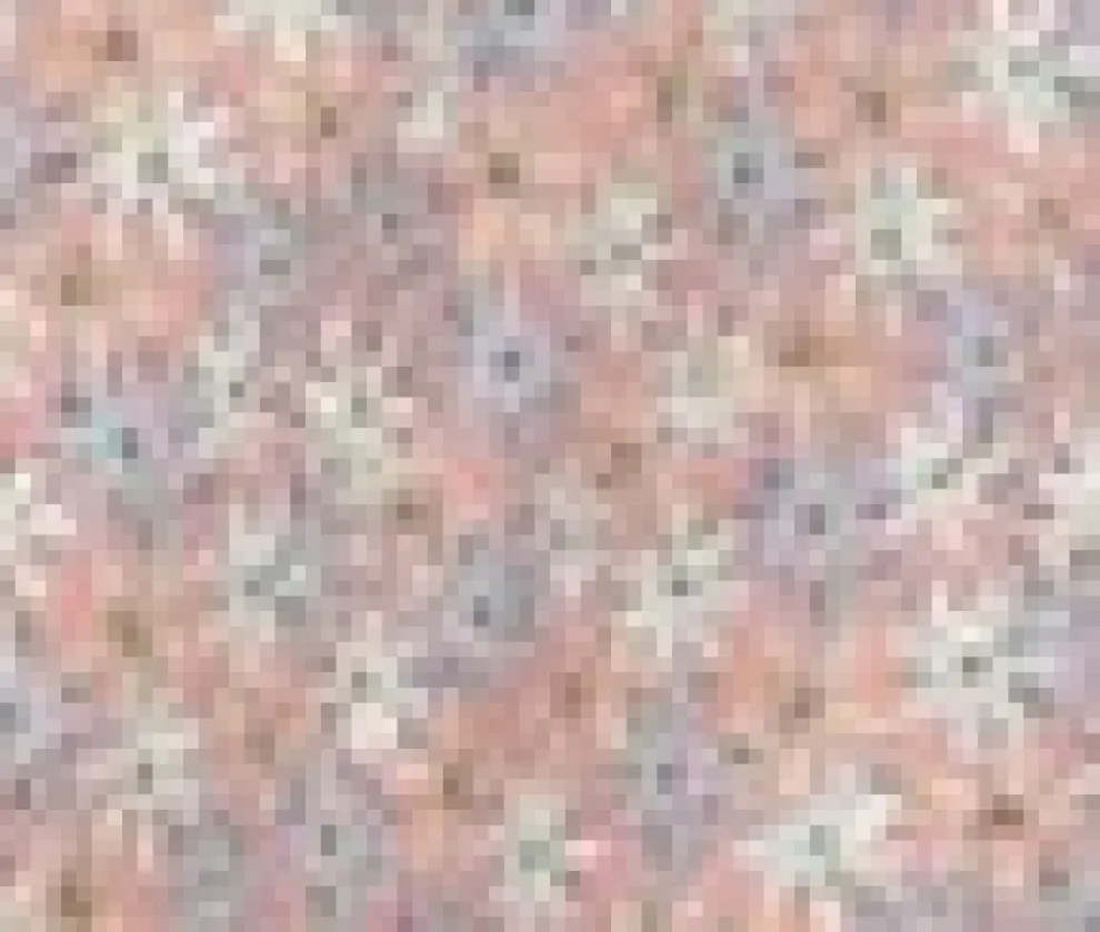 Pink Daisy Floral Swing Dress