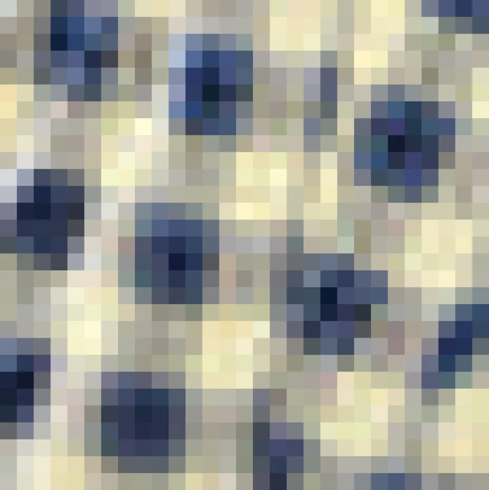 Prairie Gaze Western Shirtdress