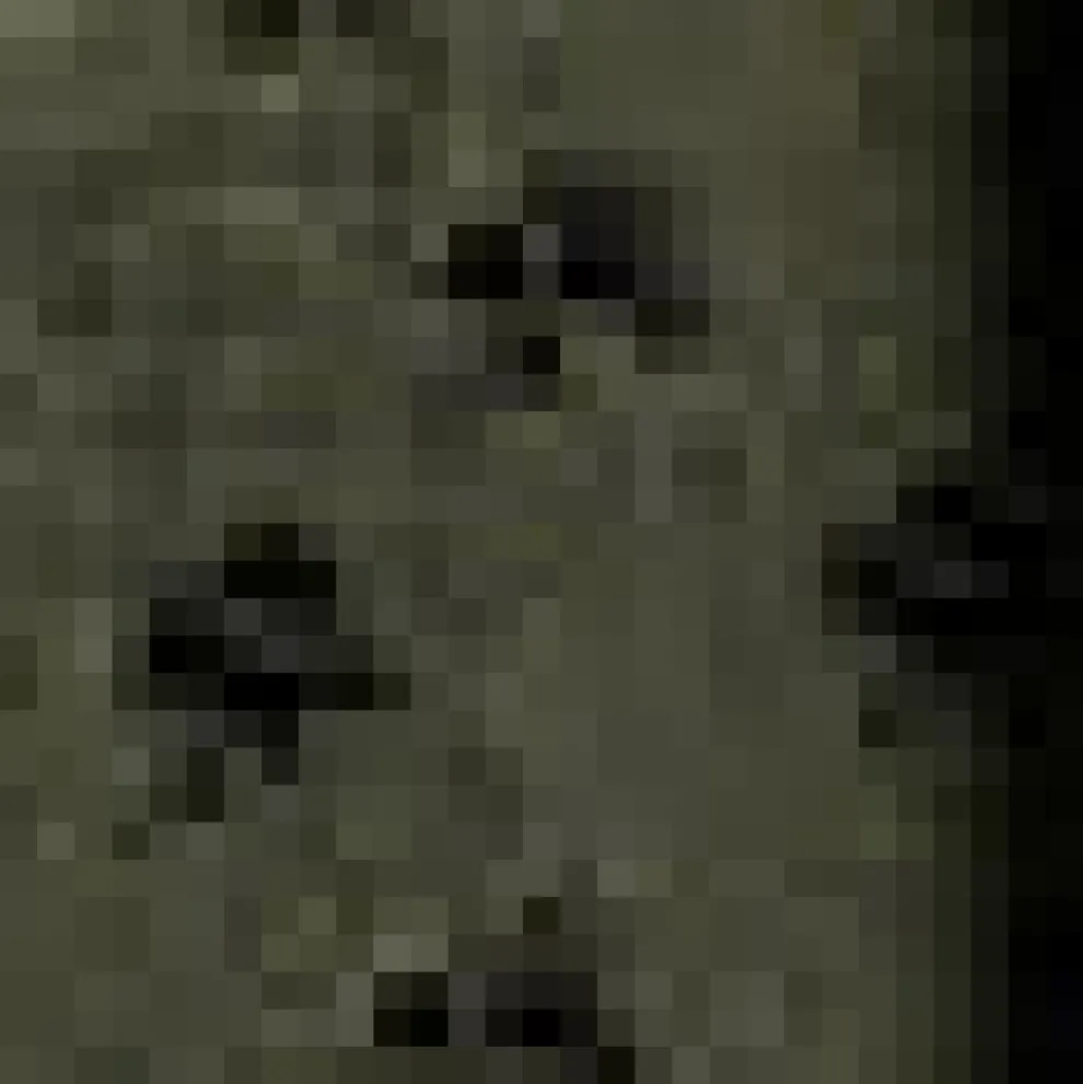 Pretty at the Pumpkin Patch Shirtwaist Dress