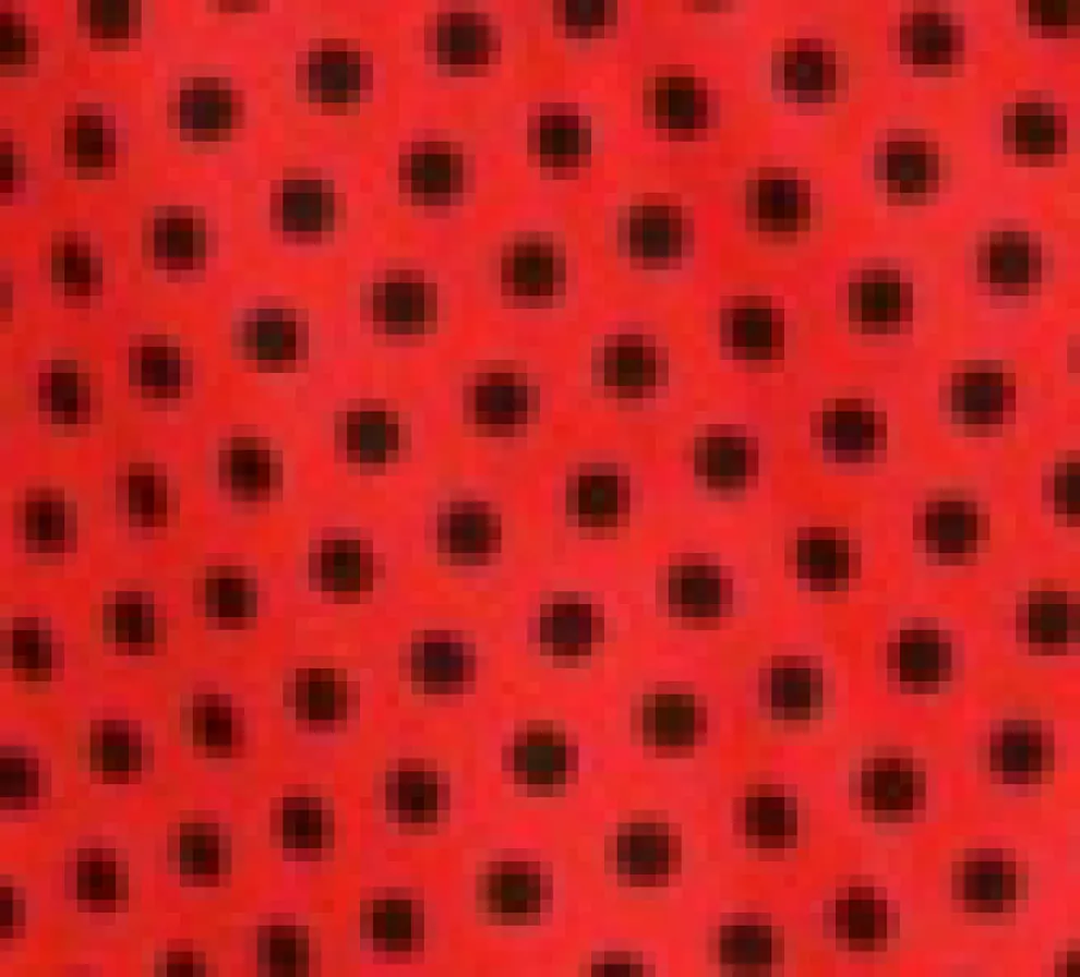 Red Black Polka Dot Swing Dress