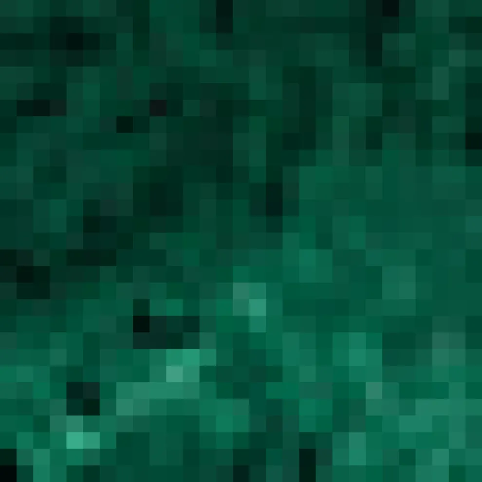 Retro Radiance Fit & Flare Dress