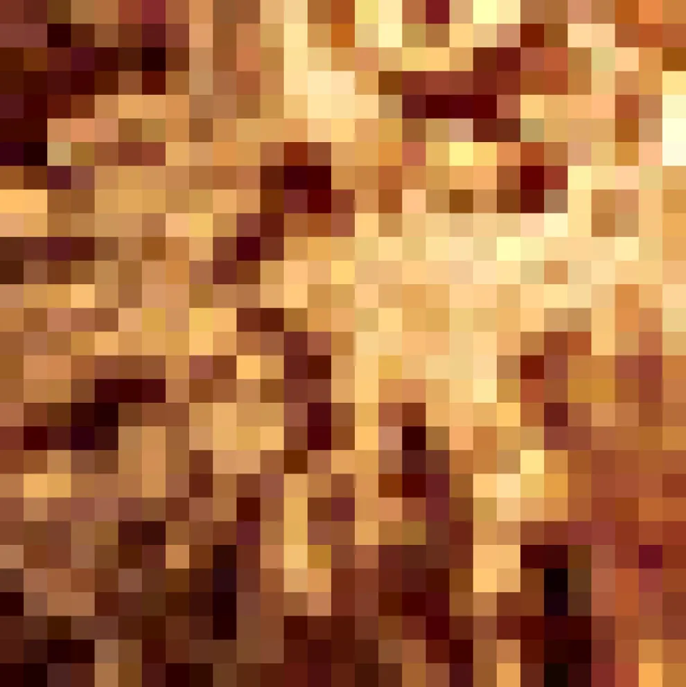 Reveling in the Retro Button Down Shirt