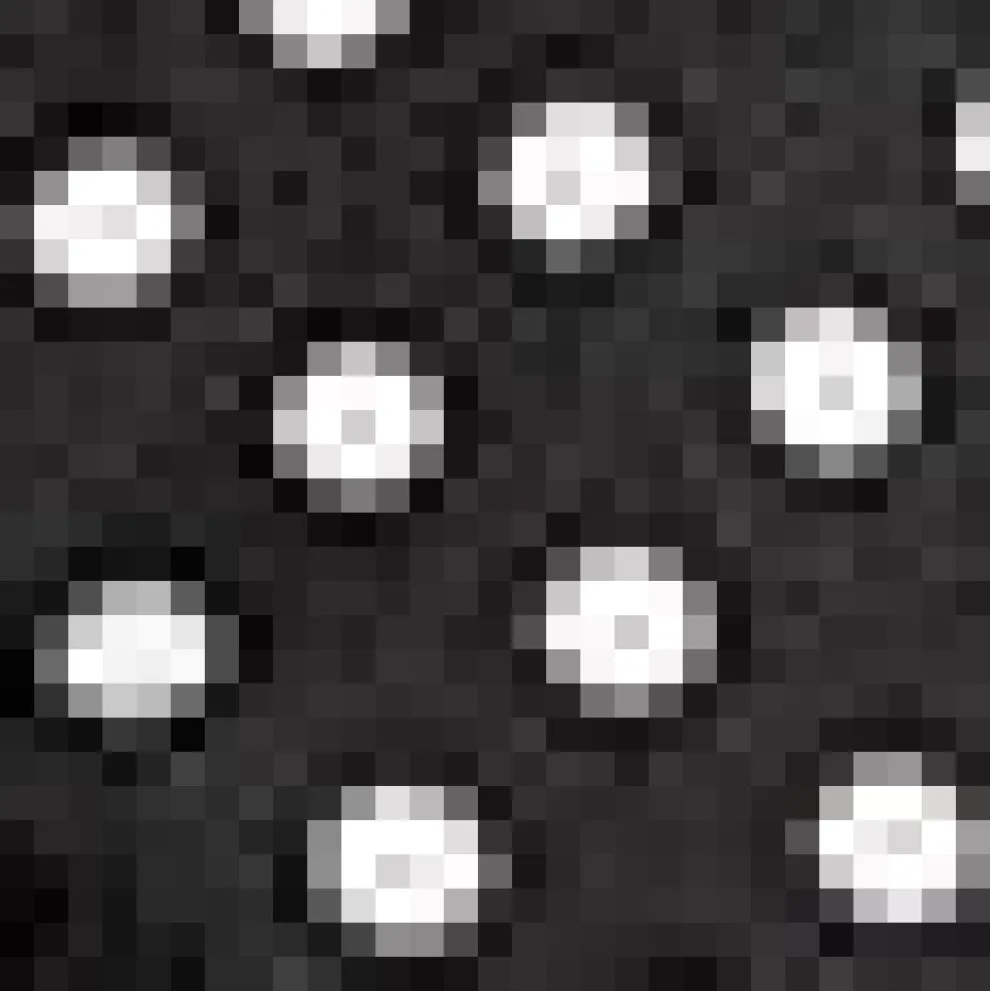 Rydell High Revisited Long Sleeve Tie-Neck Top