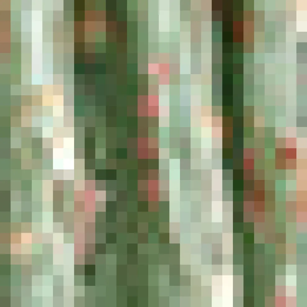 Serenity Dirndl Skirt