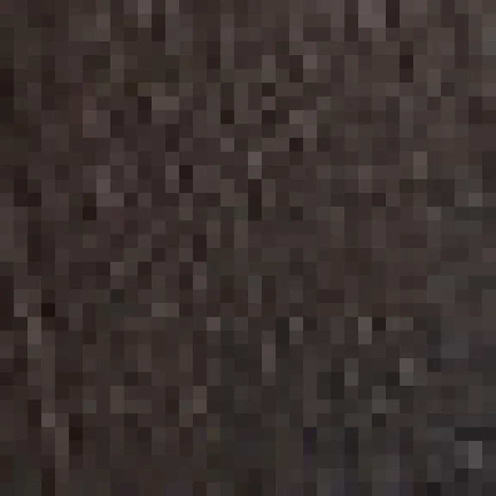 Shimmering Rainfall Button-Up Blouse