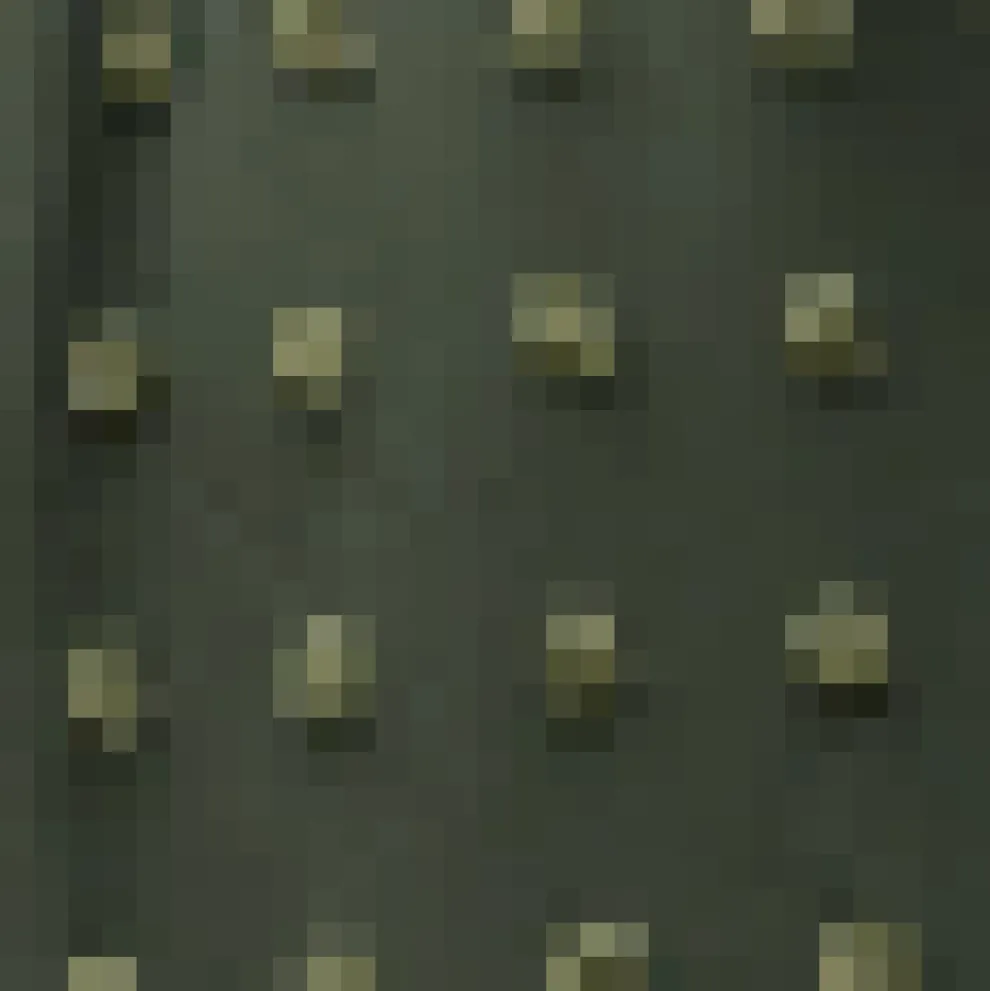 Sitting Pretty Collar Dress