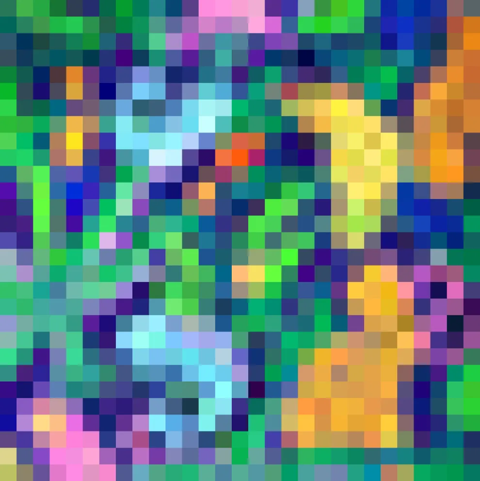 Sleeveless Scoop Neck Top