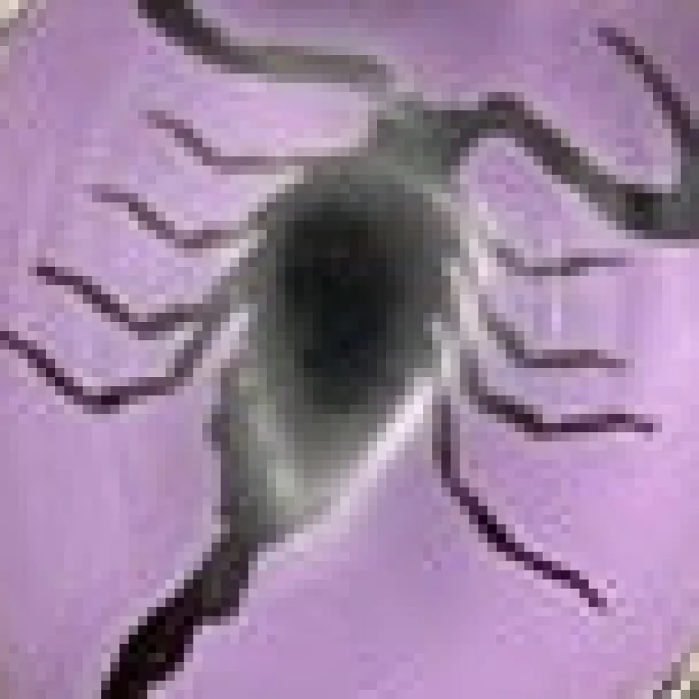 Sterling Silver Scorpion Heart Ring