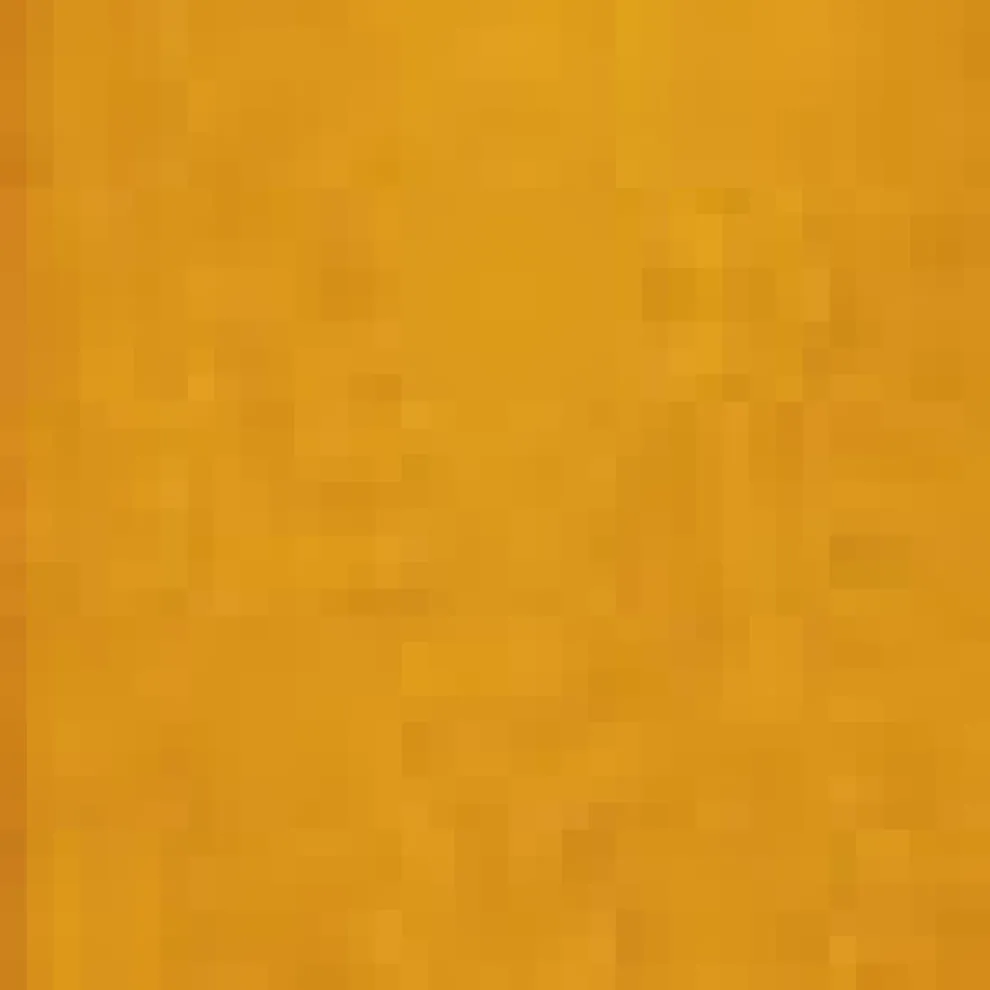 Summertime Serenade Shorts