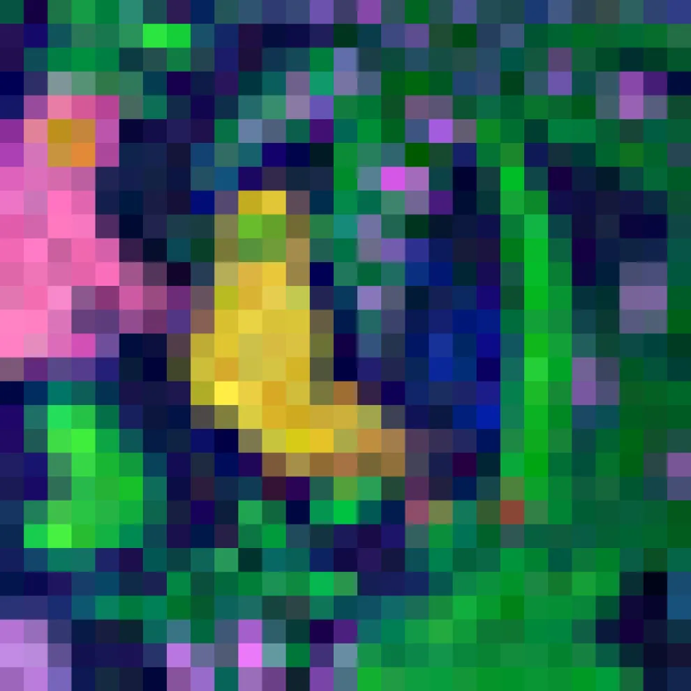 Sunbeam Seeker Cropped Pant