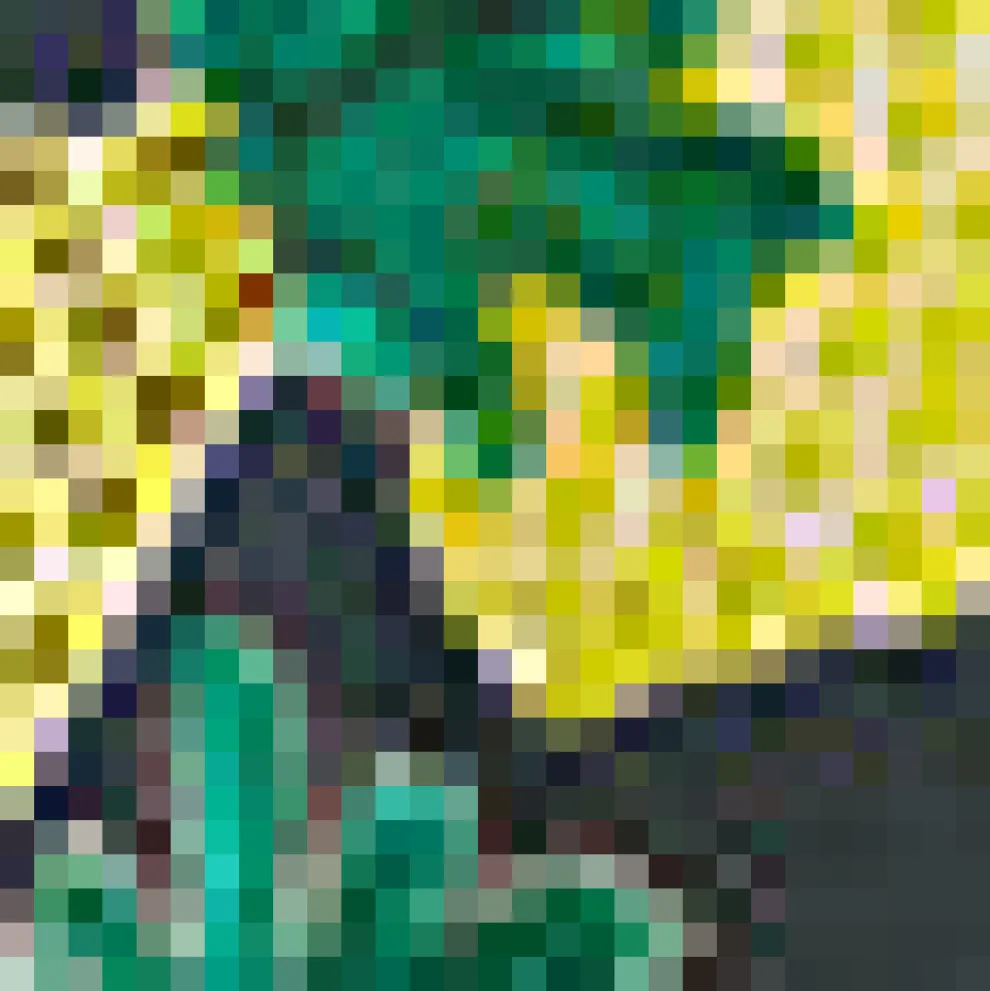 Swing Into Style Circle Skirt