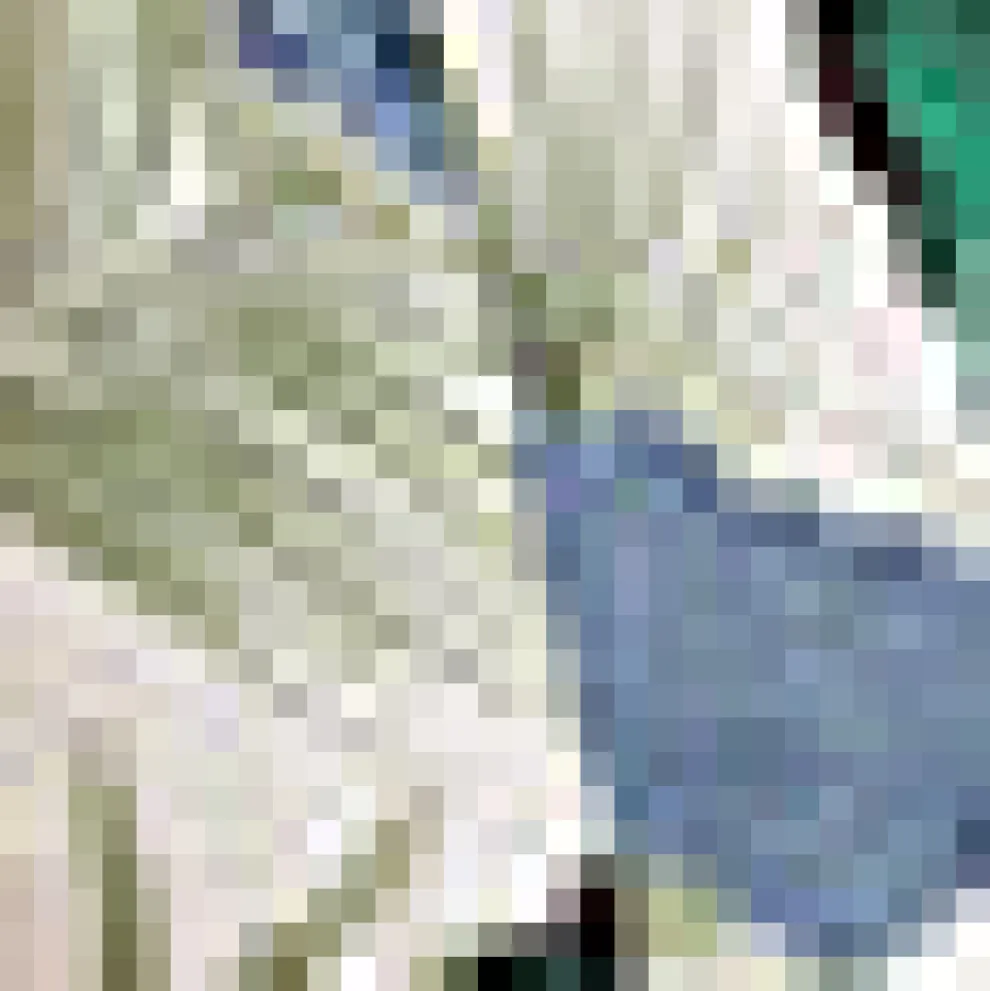 The Boardwalk Belle Shorts