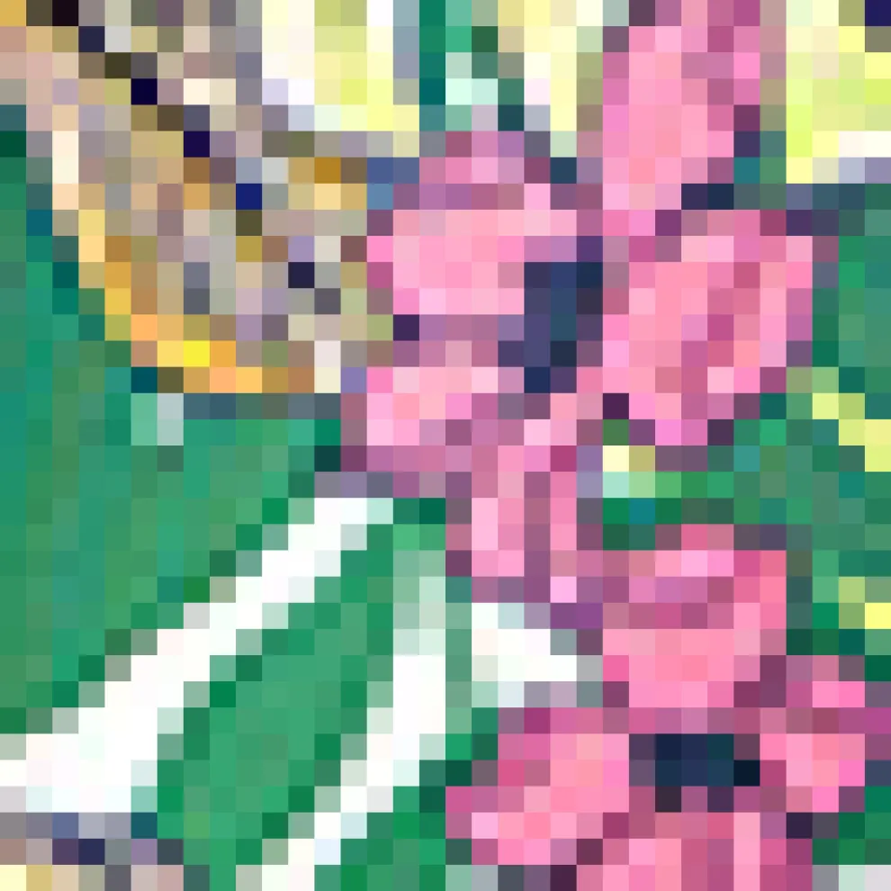 The Havana One-Piece Swimsuit