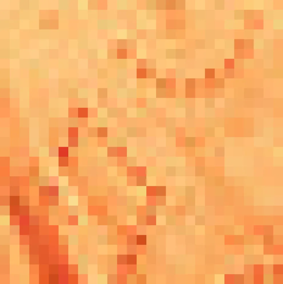 The Sunbeam Stroll Jumpsuit